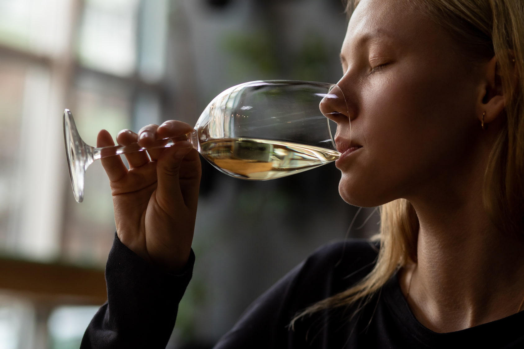 Fase Gustativa - Cata de vino