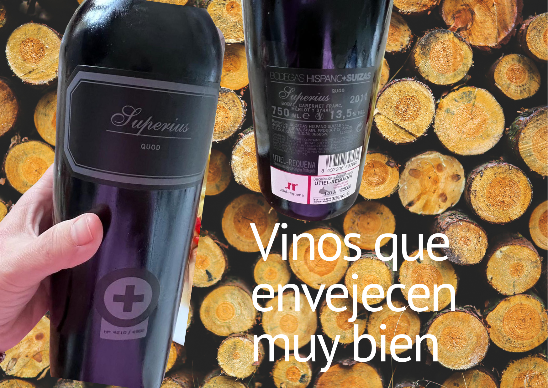 vinos de guarda